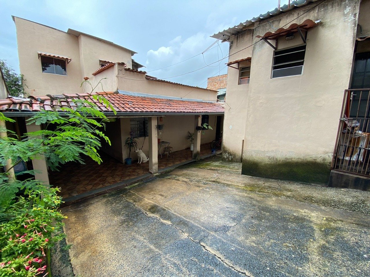 Foto 13