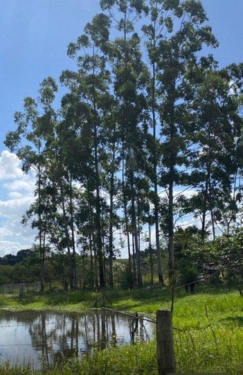 agricultural em Estrada do Luizinho, Sanga Funda - Portão - RS