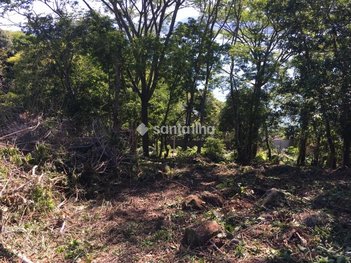 land_lot em Rodovia Baldicero Filomeno, Ribeirão da Ilha - Florianópolis - SC