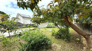 land_lot em Servidão Dunas da Joaquina, Rio Tavares - Florianópolis - SC