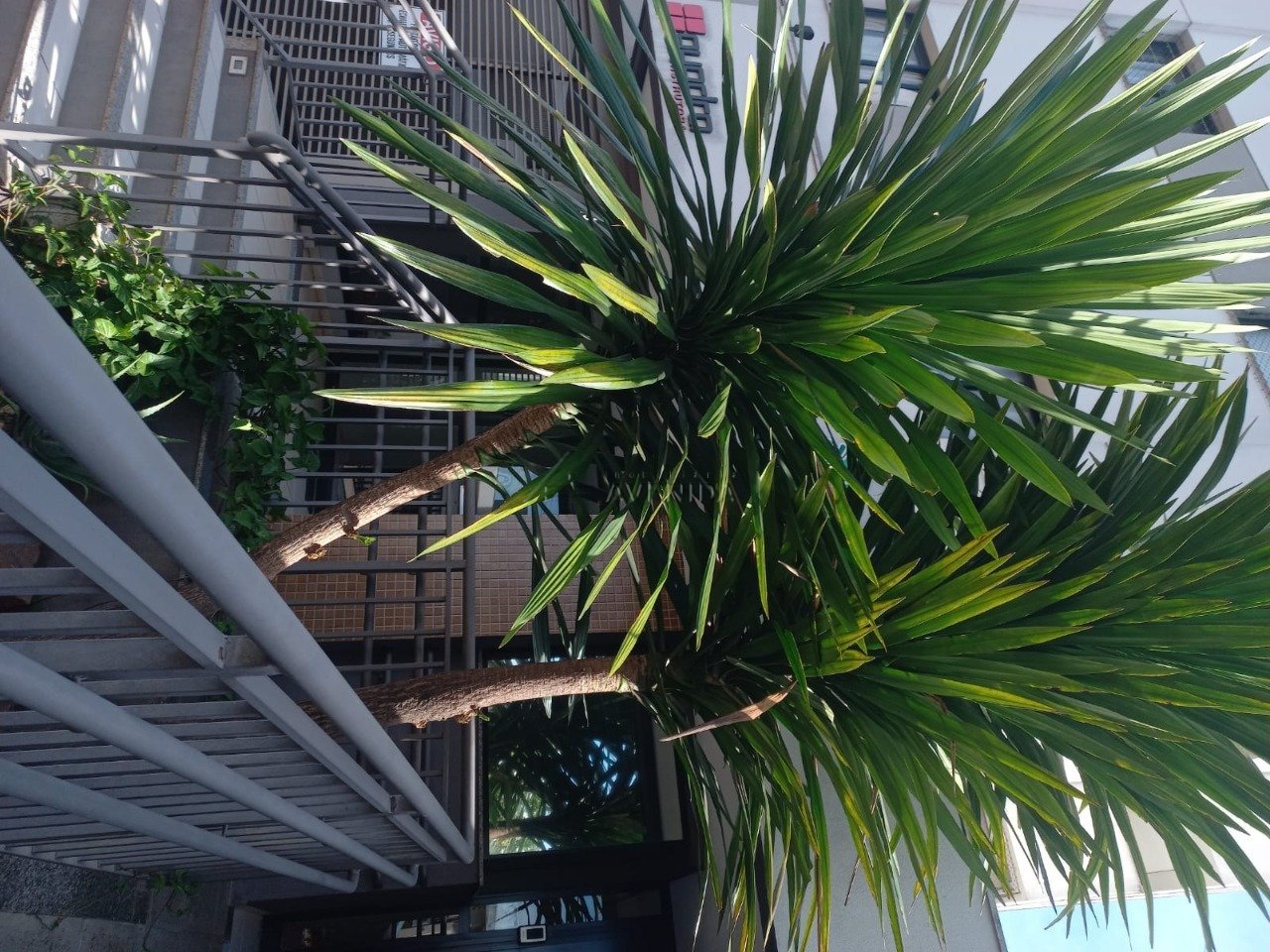 WhatsApp Image 2025-11-27 at 4.49