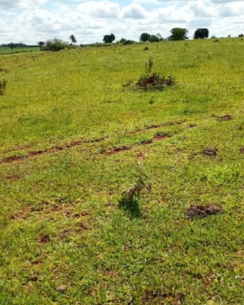 land_lot em Área Rural, Área Rural de Tatuí - Tatuí - SP