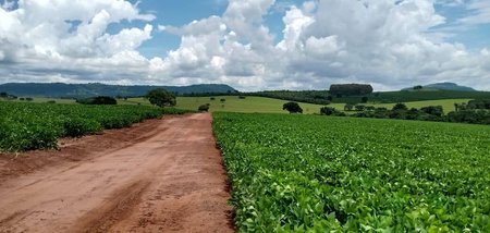 agricultural em Avenida Ângelo Calafiori, Vila Dalva - São Sebastião do Paraíso - MG