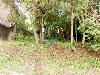 land_lot em Rua das Dracenas, Chácara Moinho Velho - Carapicuíba - SP