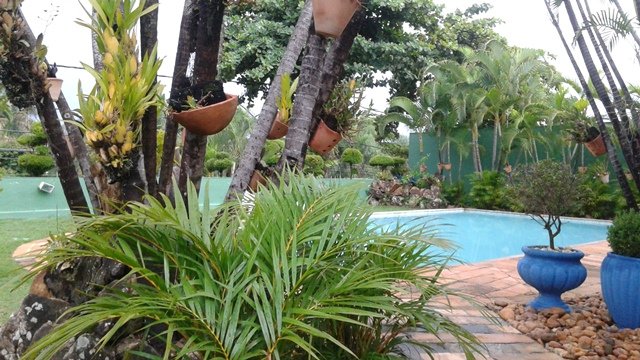 Casa com 4 quartos — Bandeirantes (Pampulha), Belo Horizonte