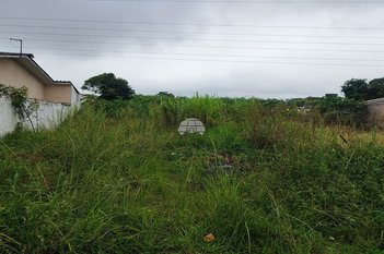 land_lot em Rodovia BR-116, Tarumã - Curitiba - PR