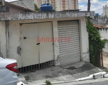 land_lot em Paulo Ravelli, Vila Pita - São Paulo - SP
