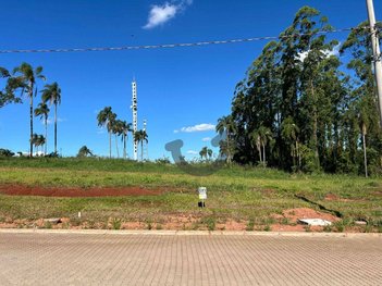 land_lot em Avenida Camélia, João Alves - Santa Cruz do Sul - RS