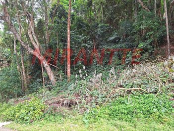 land_lot em Alameda das Araras, Caraguatá - Mairiporã - SP