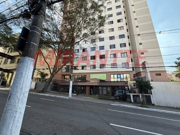 business em Conselheiro Ramalho, Bela Vista - São Paulo - SP
