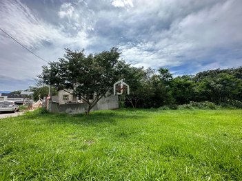 land_lot em Rodovia Álvaro Barbosa Lima Neto, Guedes - Tremembé - SP