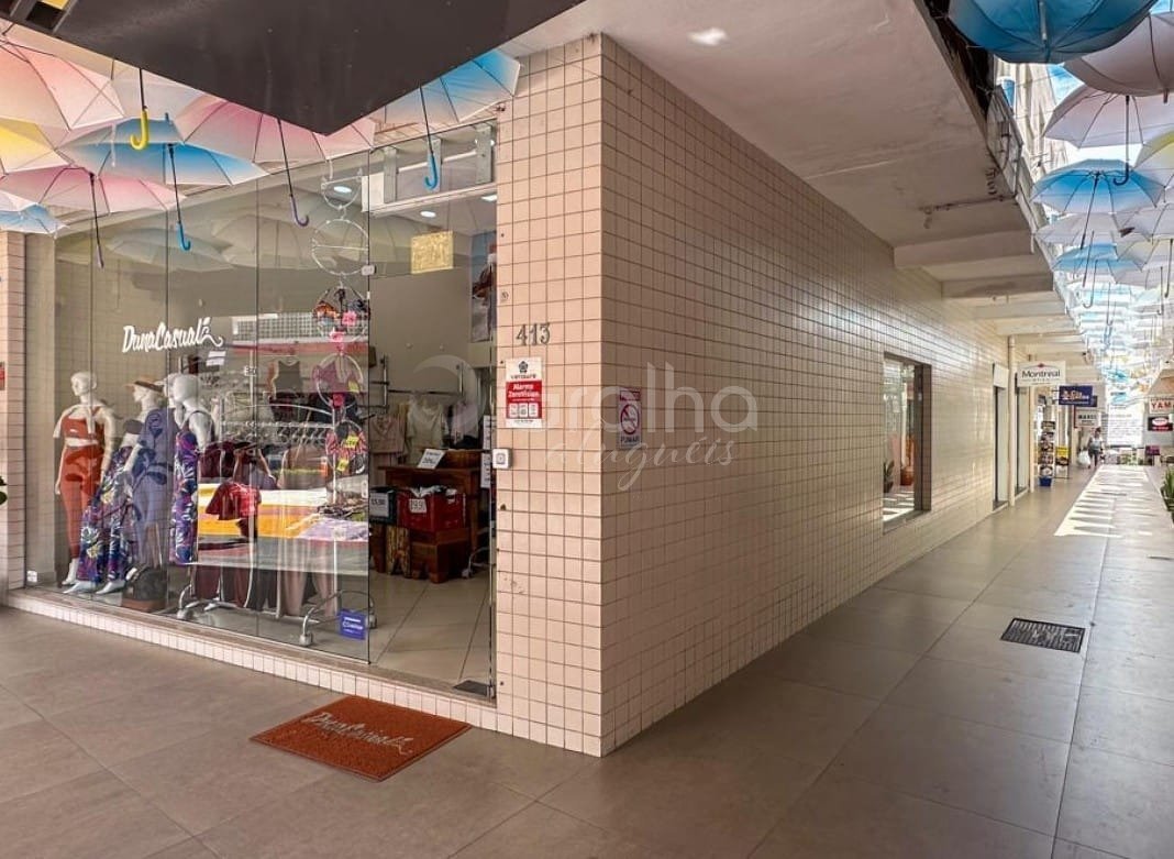 WhatsApp Image 2025-10-22 at 12.09