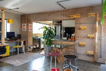 apartment em Rua Alves Ribeiro, Cambuci - São Paulo - SP