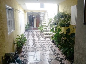 house em Rua Alexandre Golovine, Jardim Macedônia - São Paulo - SP