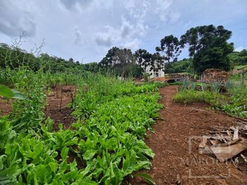 land_lot em Rua dos Platanos, Marau - Marau - RS