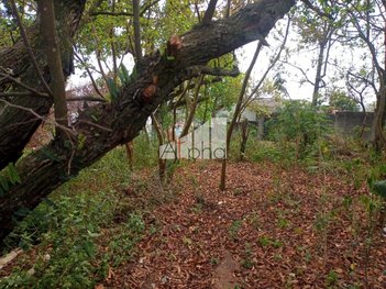 land_lot em Rua Carlos de Souza Maciel, Ipês (Polvilho) - Cajamar - SP