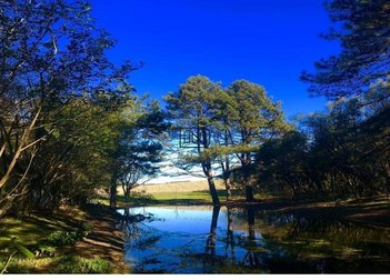 land_lot em Rua Três de Outubro, Centro - Farroupilha - RS
