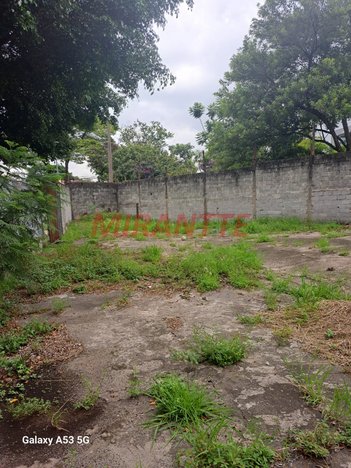 land_lot em Praça Padre Luís Alves de Siqueira Castro, Barra Funda - São Paulo - SP