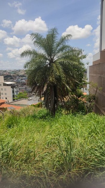 land_lot em Alameda dos Sabiás, Cabral - Contagem - MG
