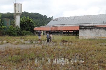 commercial_land_lot em Rio Das Pedras, Jardim Aricanduva - São Paulo - SP