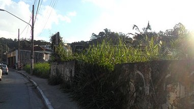 land_lot em Rua do Horto, Horto Florestal - São Paulo - SP
