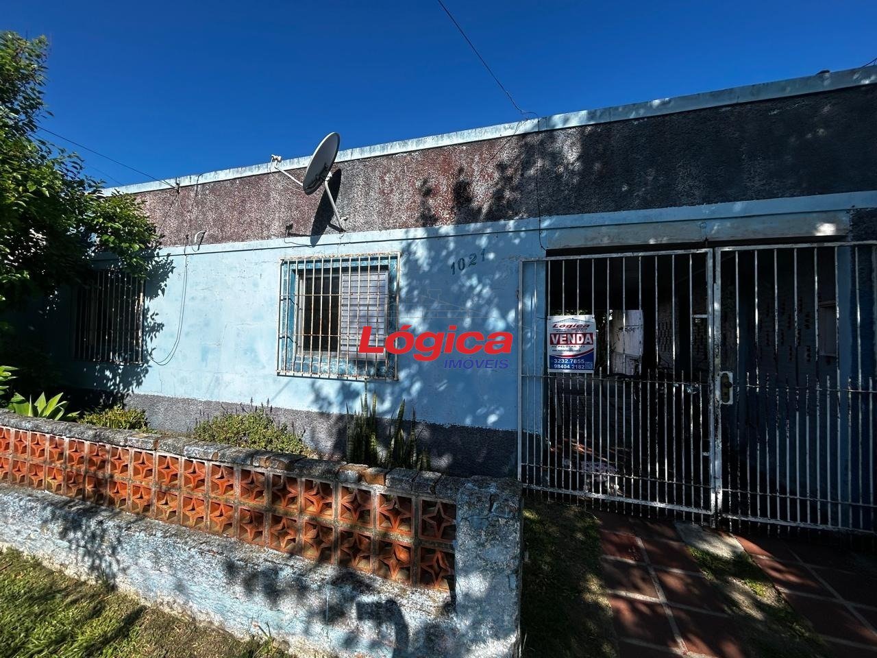 WhatsApp Image 2025-10-17 at 17.11