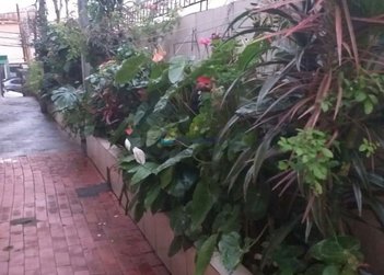 house em Rua das Jóias, Vila do Encontro - São Paulo - SP