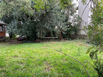 land_lot em Rua Santos Dumont, Centro - São Francisco de Paula - RS