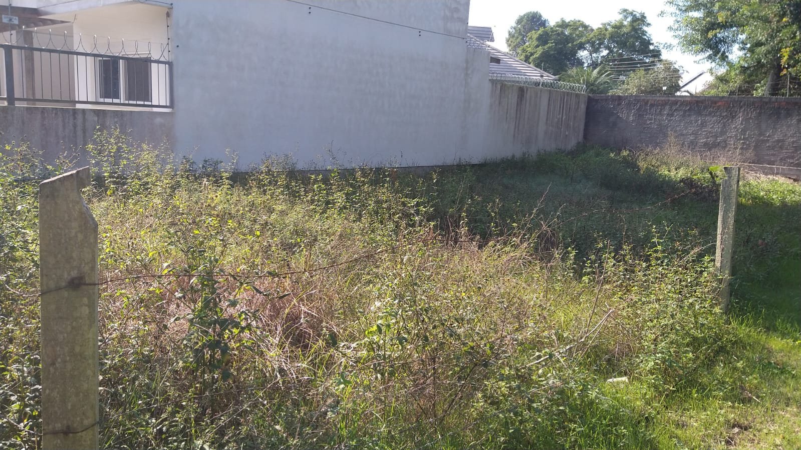 terreno no lãs acácias