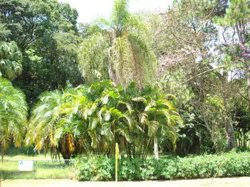 land_lot em Rua Y 1, Cidade Nova I - Itu - SP