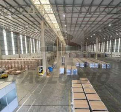 image - 2025-11-29T102929