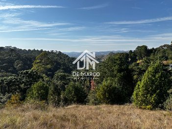land_lot em Rua Anita Damas Salgado, Alto da Boa Vista - Campos do Jordão - SP