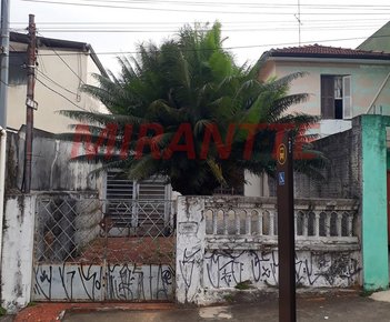 house em Zanzibar, Casa Verde - São Paulo - SP