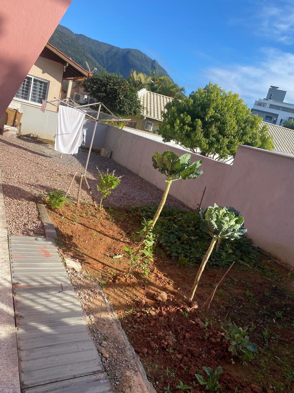 WhatsApp Image 2025-11-25 at 10.09