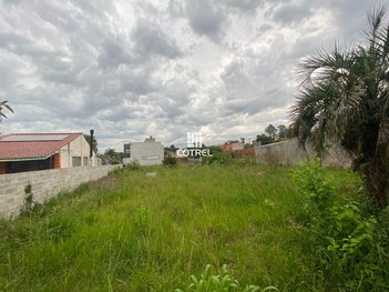 land_lot em Rua Maceió, Pinheiro Machado - Santa Maria - RS