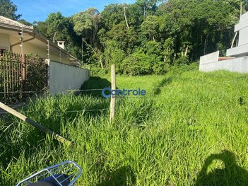 land_lot em Rua das Figueiras, Pedra Branca - Palhoça - SC