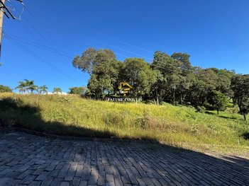 land_lot em Rua Travessão Thompson Flores, Vinhedos - Caxias do Sul - RS