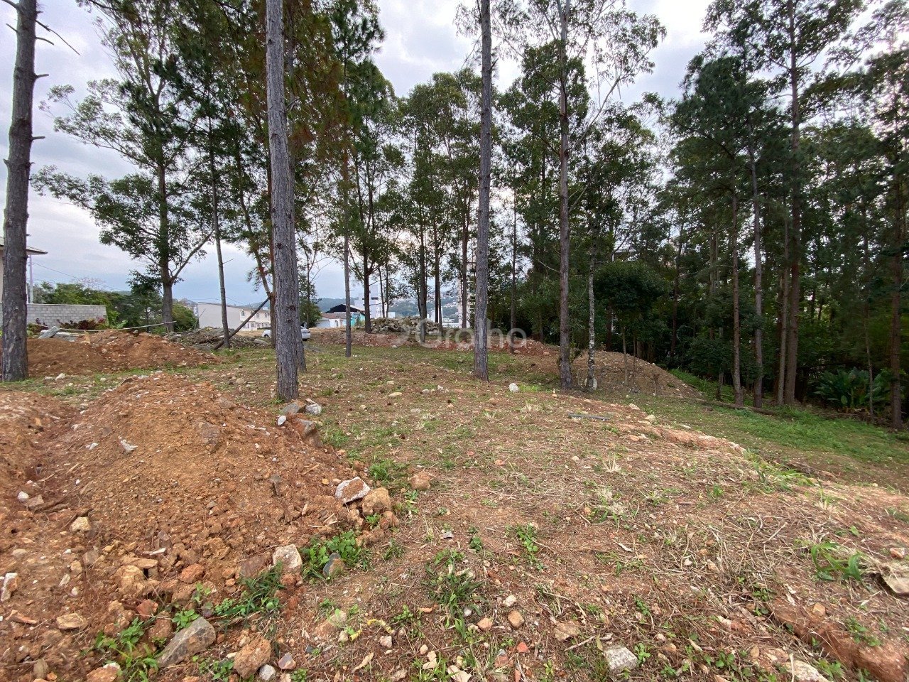 Foto 05