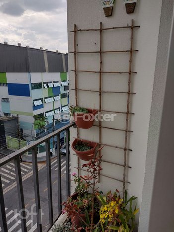 apartment em Rua Dona Olga, Vila São João - Guarulhos - SP