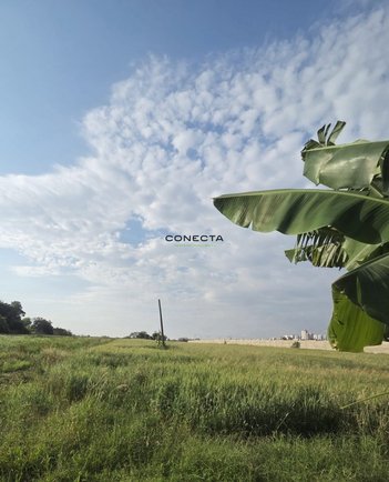 commercial_land_lot em Avenida Gil de Abreu Souza, Esperança - Londrina - PR
