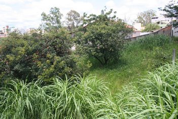 land_lot em Rua Monte Sinai, Paquetá - Belo Horizonte - MG