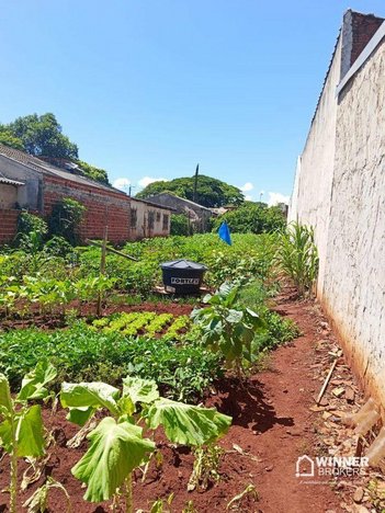 land_lot em Avenida das Orquídeas, Jardim Verão - Sarandi - PR