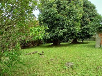 land_lot em Antônio Ferreira, Centro - São José - SC
