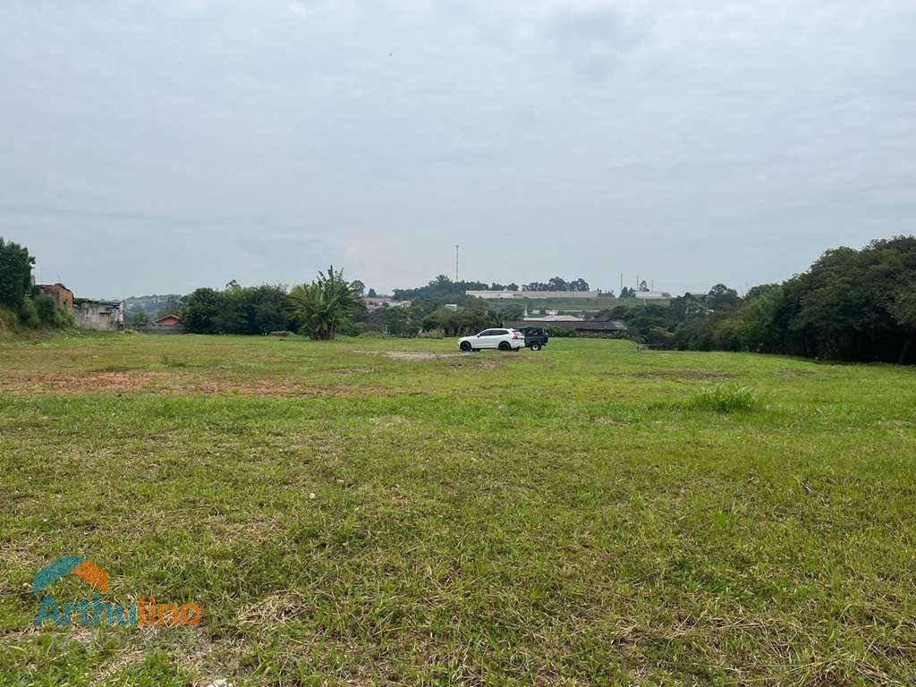 image-0