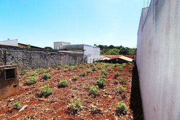 land_lot em Rua Anita Pereira Correia, Residencial Loris Sahyun - Londrina - PR