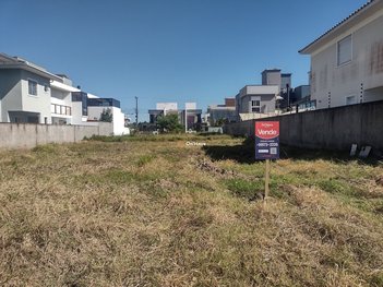land_lot em Canela Amarela, Ribeirão da Ilha - Florianópolis - SC