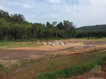 land_lot em Rodovia ERS-122, Linha 40 - Caxias do Sul - RS