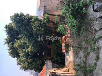 house em Avenida Alberto Byington, Vila Maria Alta - São Paulo - SP