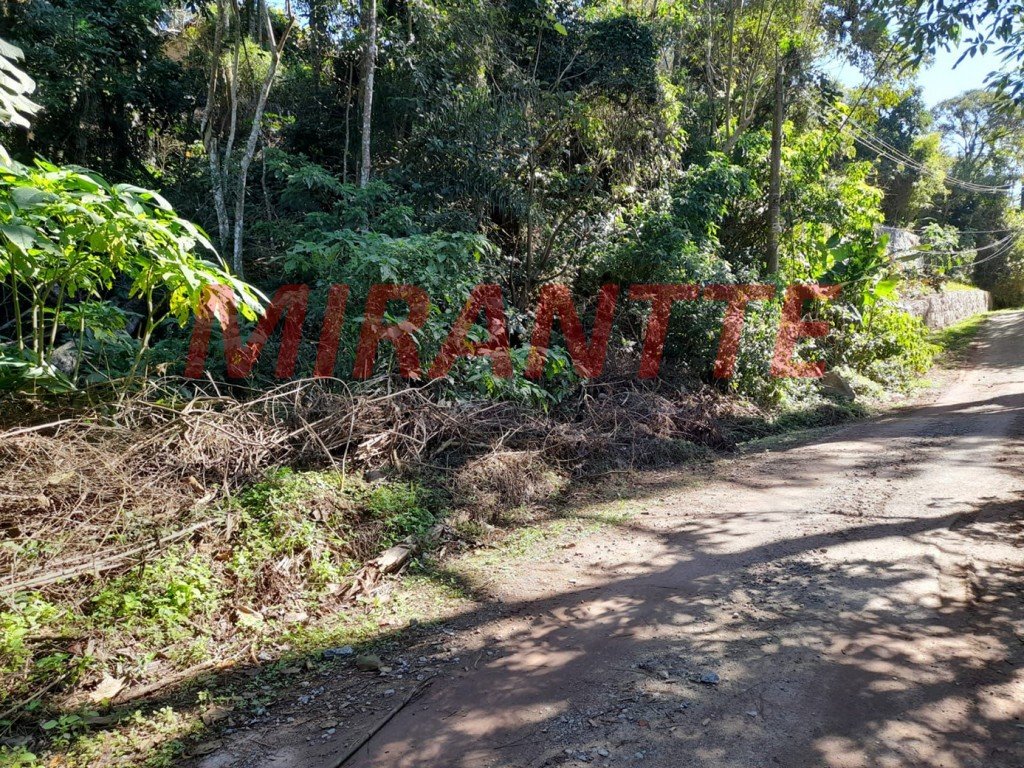 img1