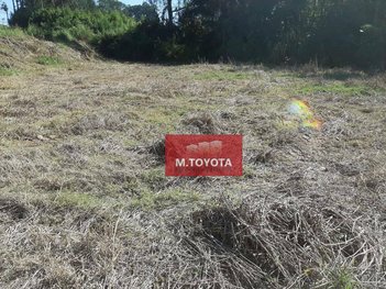 land_lot em Rua Anézio Ruivo, Sítio São Francisco - Guarulhos - SP